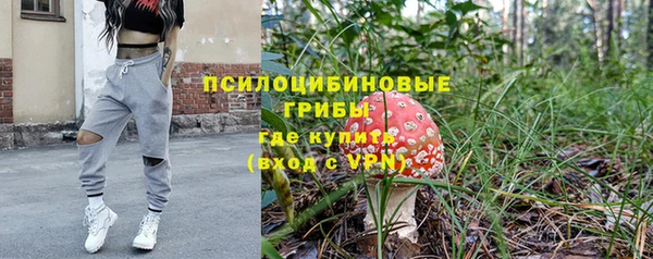 винт Липки