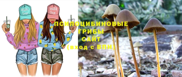 винт Липки