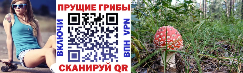 Галлюциногенные грибы мухоморы  наркошоп  Коркино 