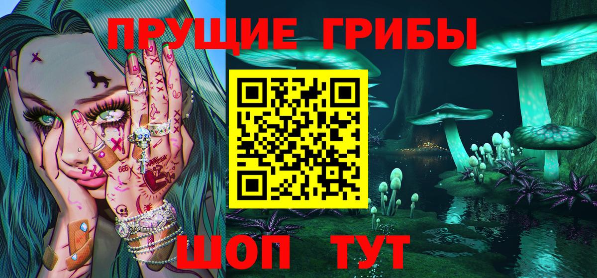 Коркино  Галлюциногенные грибы прущие грибы  Галлюциногенные грибы мицелий  Вход с VPN 